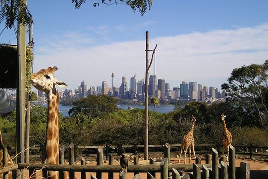 Tour image 7