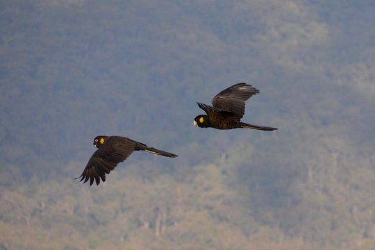 Tour image 3