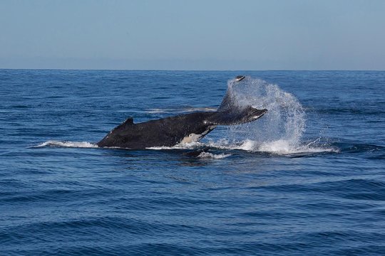 Tour image 7