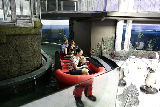 Tour image 7