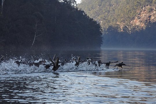 Tour image 2