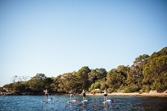 Tour image 6