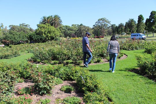 Tour image 6