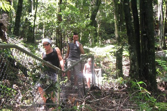 Tour image 5