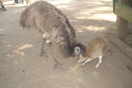 Tour image 8
