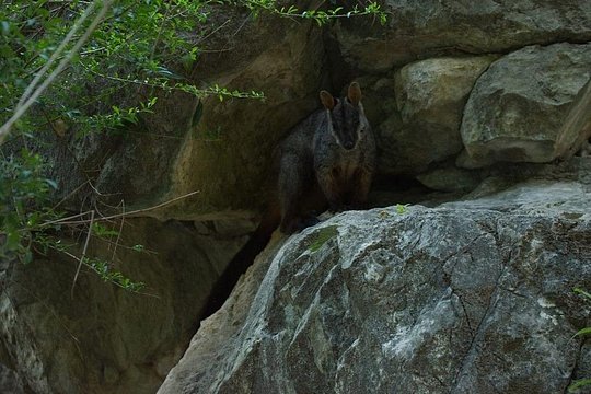 Tour image 12