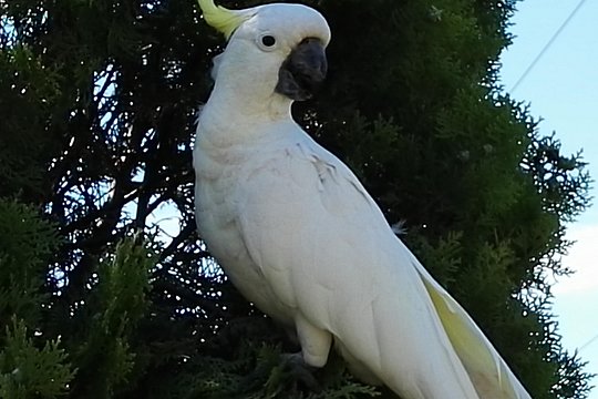 Tour image 1