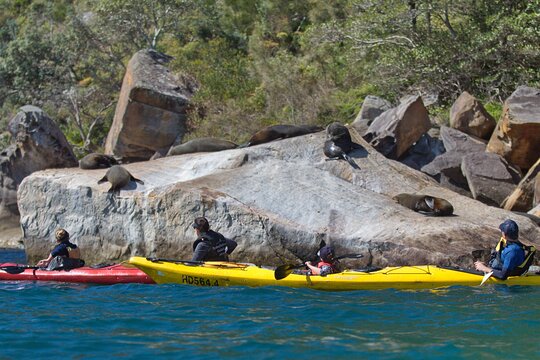 Tour image 6