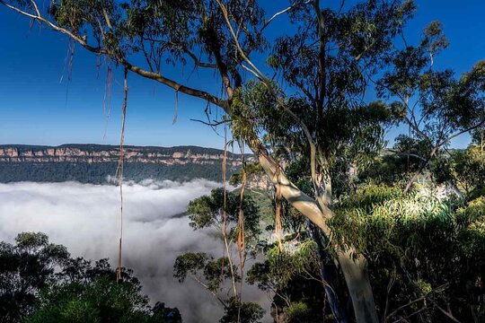 Tour image 6