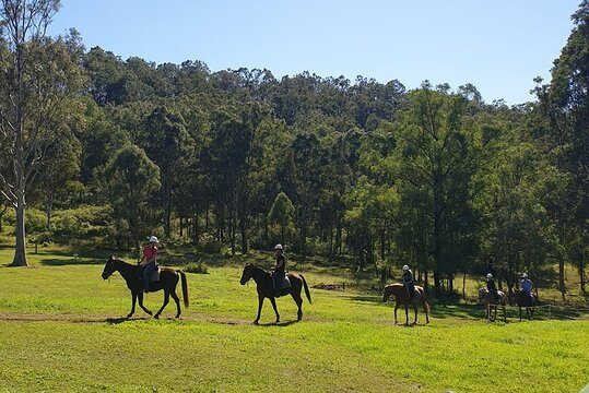 Tour image 4
