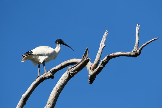 Tour image 13