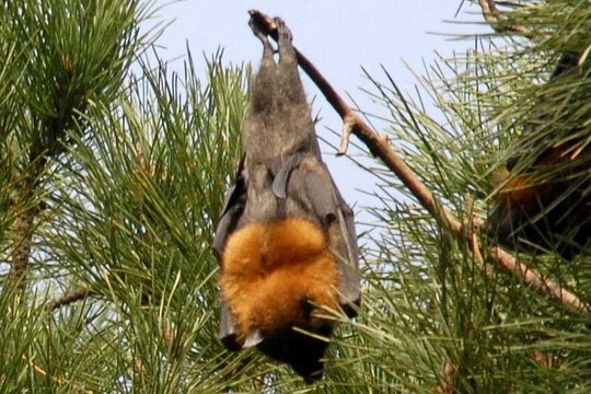 Tour image 4